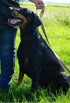 basis-1-2025 basis-1-2025