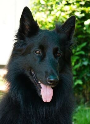 basis-2-2025 basis-2-2025