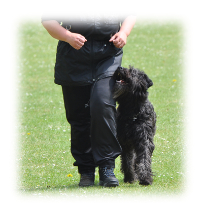 basiscursussen2025 basiscursussen2025