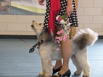 dscn7442-s dscn7442-s