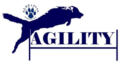logo-agility-1 logo-agility-1