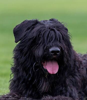 Basis-0-2025 Basis-0-2025